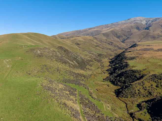  Plantation Road, Fairlie