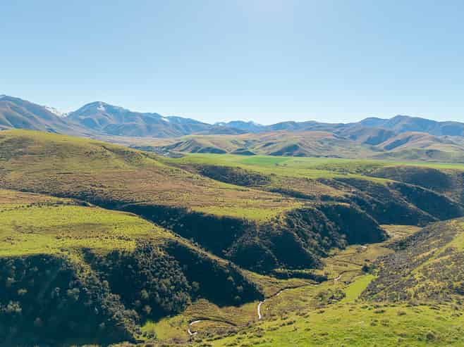  Plantation Road, Fairlie