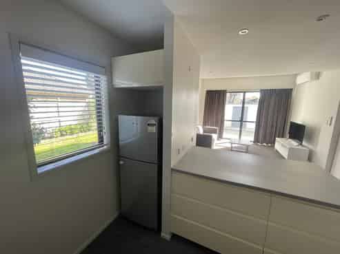 11/195 Massey Street, Frankton