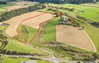 37 and 39 Tavistock Road, Levin