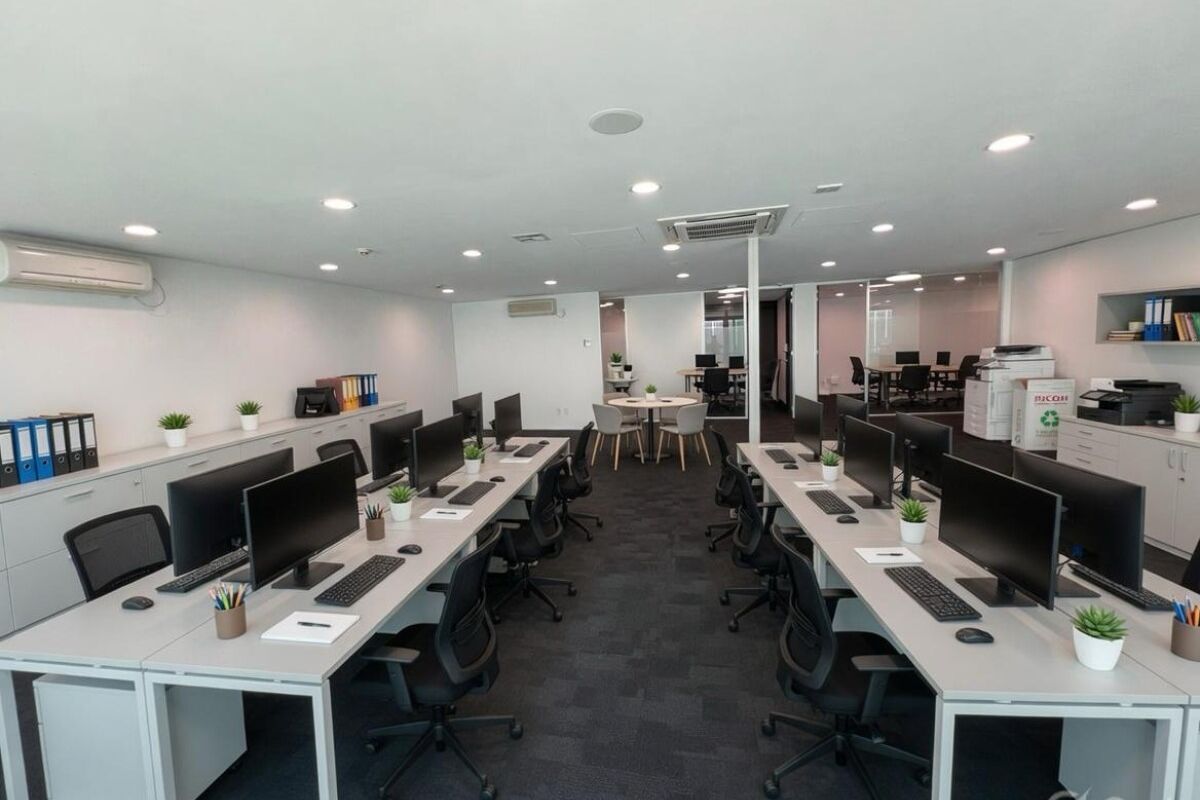 Professional Parnell Workspace - Vista 3