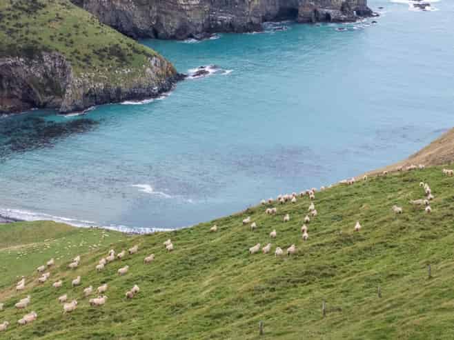 203 Paua Bay Road, Diamond Harbour