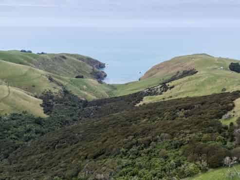 203 Paua Bay Road, Akaroa