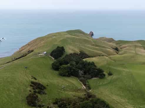 203 Paua Bay Road, Akaroa