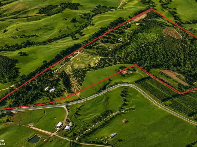 501 Purangi Road, Purangi