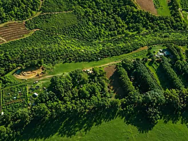 501 Purangi Road, Purangi