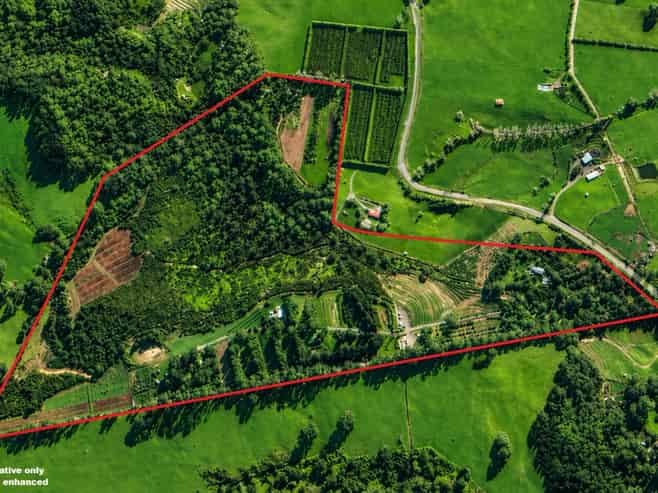 501 Purangi Road, Purangi