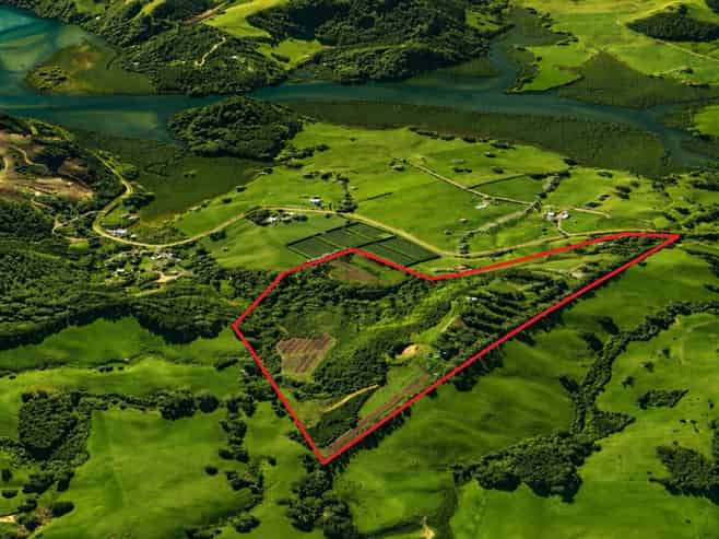 501 Purangi Road, Purangi