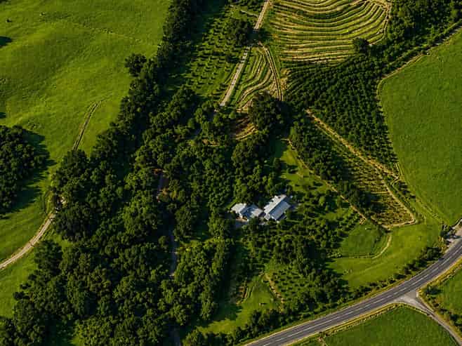 501 Purangi Road, Purangi