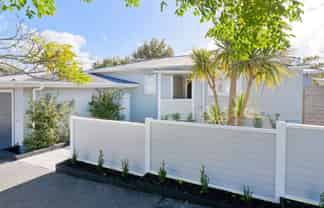 37 Miller Street, Point Chevalier