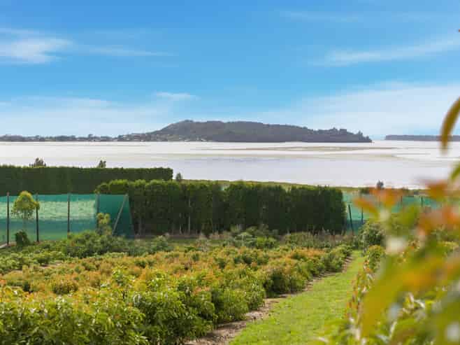 245 Athenree Road, Athenree