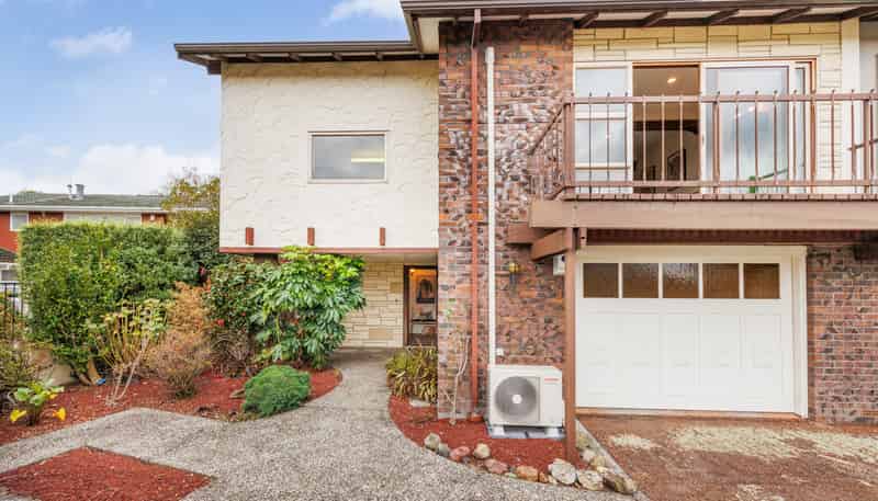 47 Dittmer Drive, Awapuni