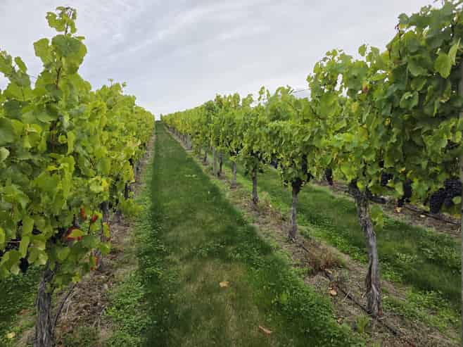 Lot 35, McArthur Road, Alexandra