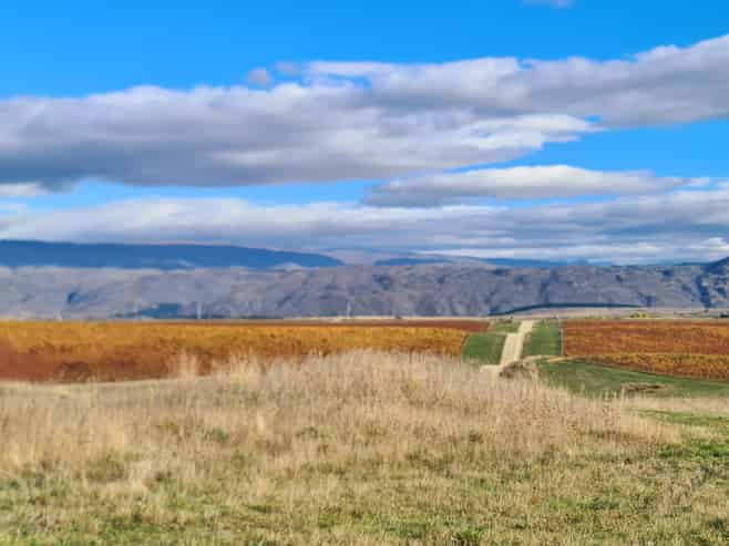 Lot 35, McArthur Road, Alexandra