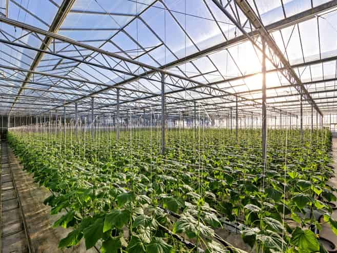 31 Madeleys Road, Clarkville