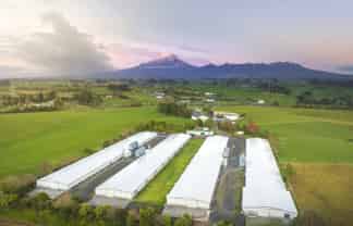 57-85 Thomason Road, Egmont Village