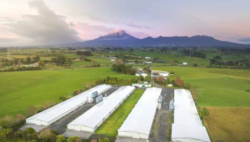 57-85 Thomason Road, Egmont Village