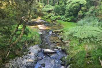 Lot 1, 675 Gorge Road, Maungaturoto