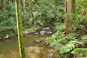 Lot 1, 675 Gorge Road, Maungaturoto
