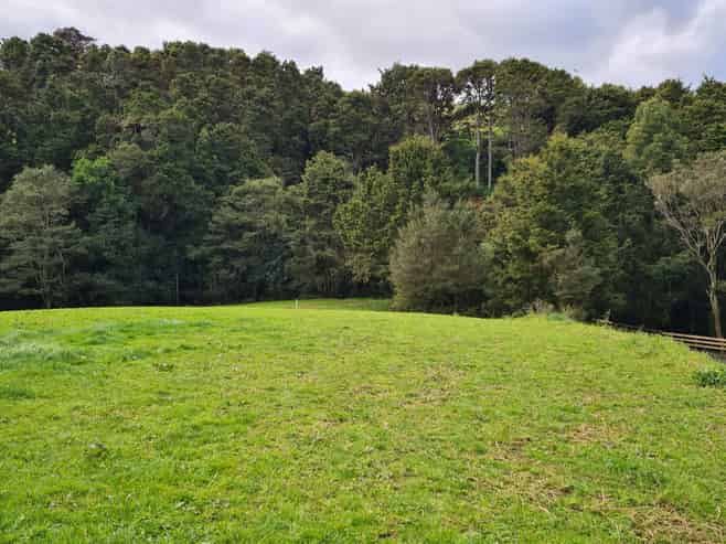 Lot 1, 675 Gorge Road, Maungaturoto