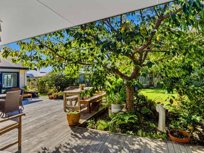 6 Karlos Lane, Levin