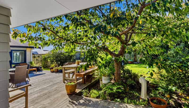 6 Karlos Lane, Levin