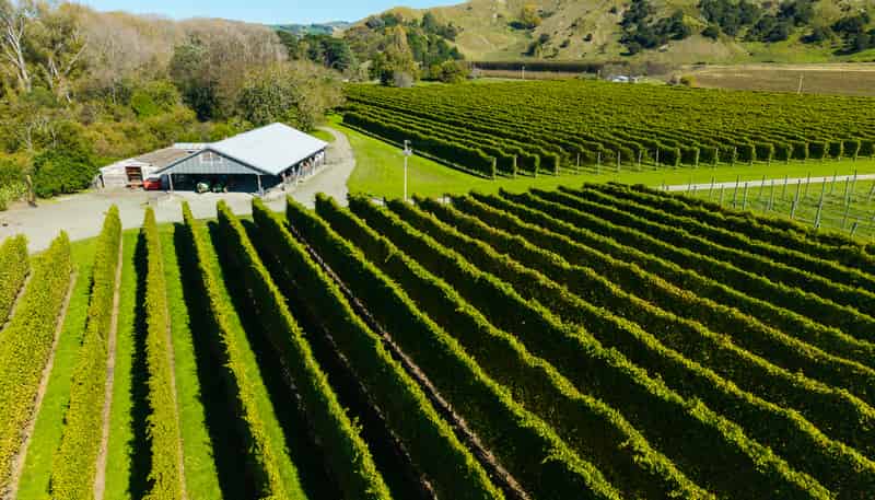 139 Taurau Valley Road, Manutuke