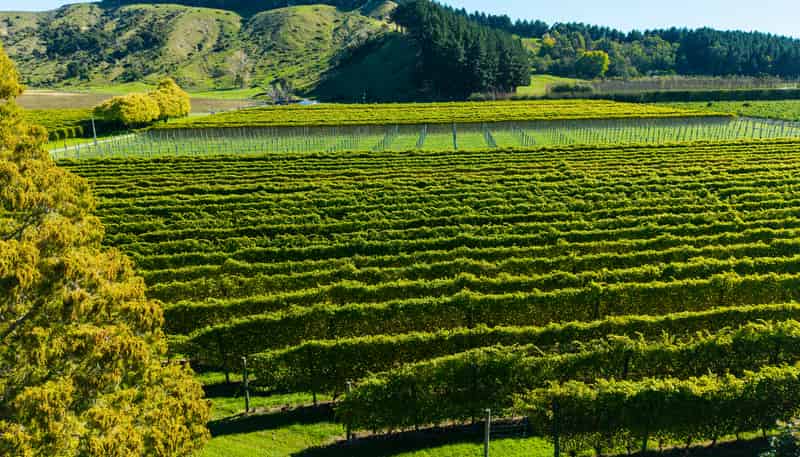 139 Taurau Valley Road, Manutuke
