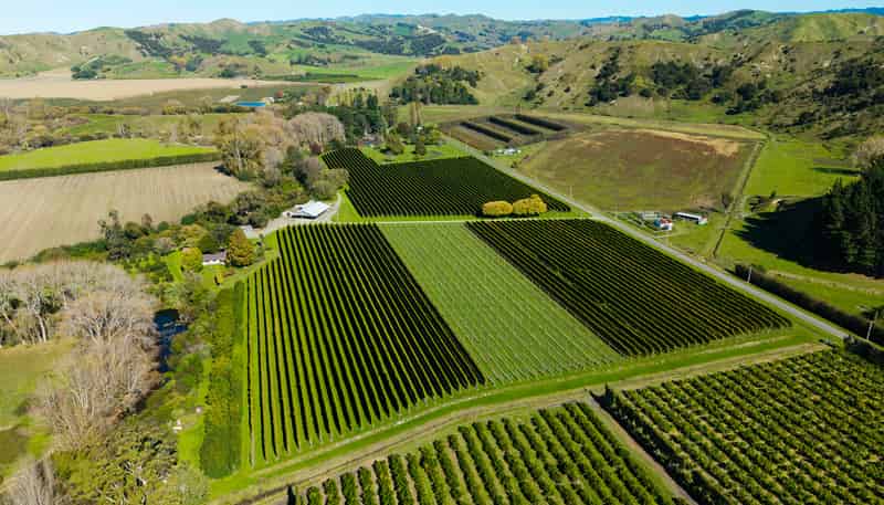 139 Taurau Valley Road, Manutuke