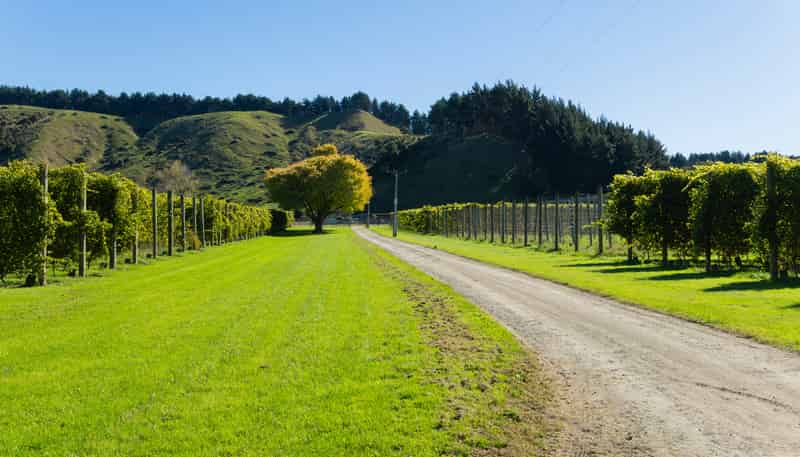 139 Taurau Valley Road, Manutuke