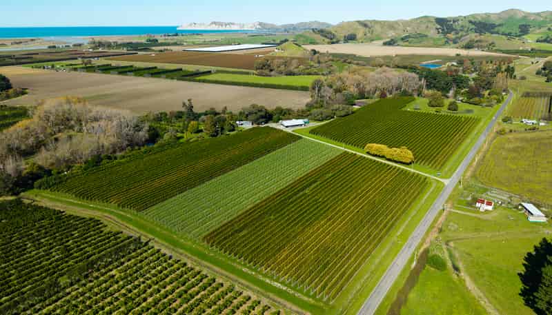 139 Taurau Valley Road, Manutuke