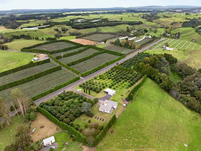 536 Maniatutu Road, Pongakawa