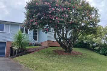 47 Cardiff Road, Pakuranga