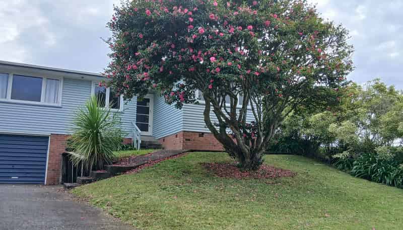 47 Cardiff Road, Pakuranga