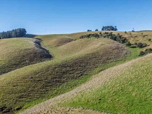 262B Masterton Stronvar Road, Te Ore Ore