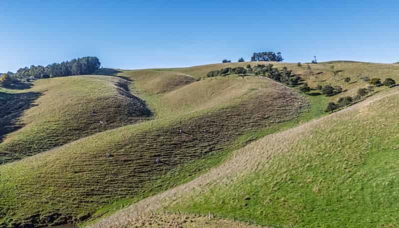 2 262B Masterton Stronvar Road, Te Ore Ore