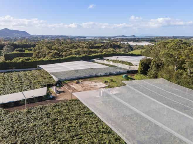 416 State Highway 2, Katikati