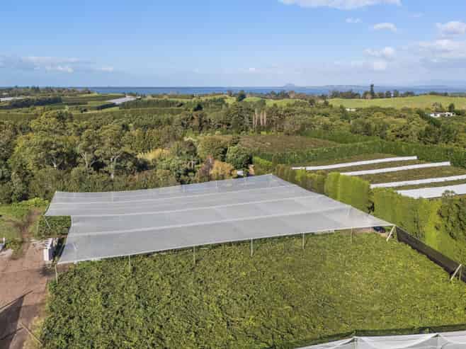 416 State Highway 2, Katikati