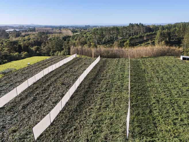 175 Busby Road, Katikati