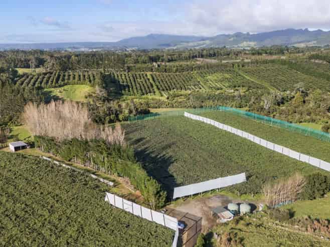 175 Busby Road, Katikati