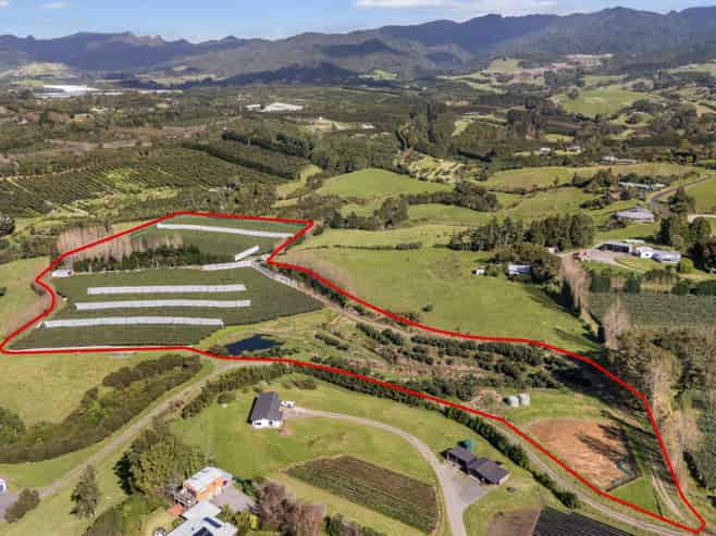 175 Busby Road, Katikati