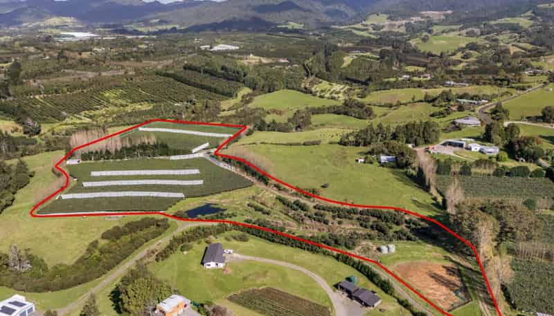 175 Busby Road, Katikati