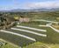 175 Busby Road, Katikati, Western Bay Of Plenty, Bay of Plenty