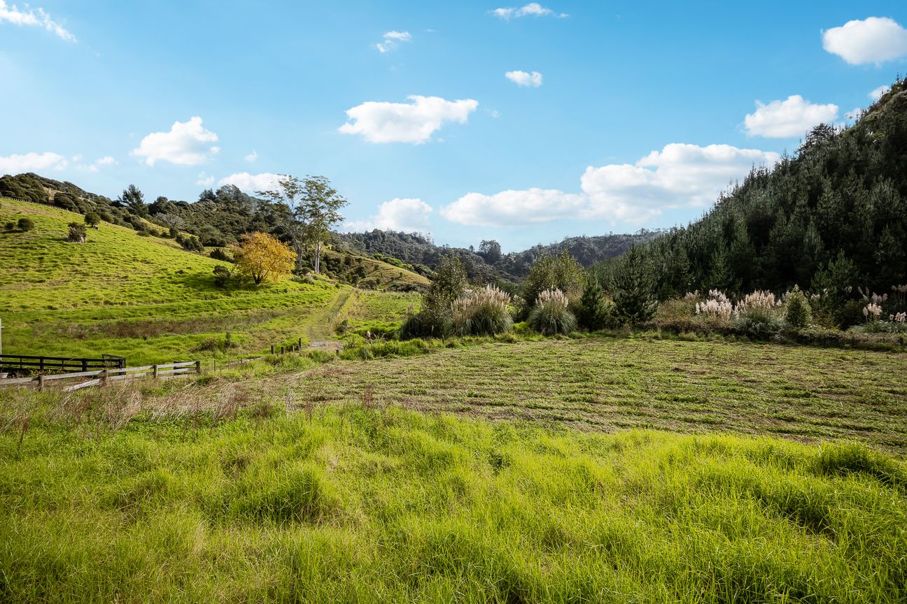 Home, Income, Subdivision and Wide-Open Skies! - Fler