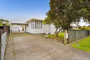 12 Nikau Street, Inglewood