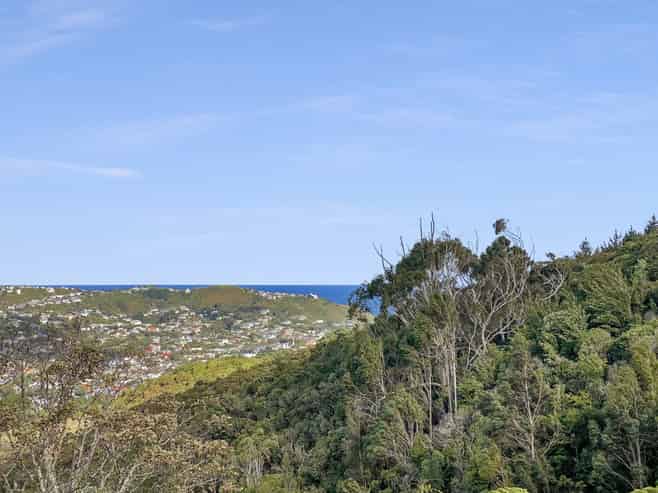 16 Halifax Street, Kingston