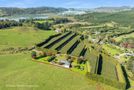 24 Julian Road, Onemana, Thames-Coromandel, Coromandel