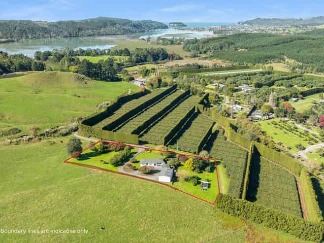 24 Julian Road, Onemana