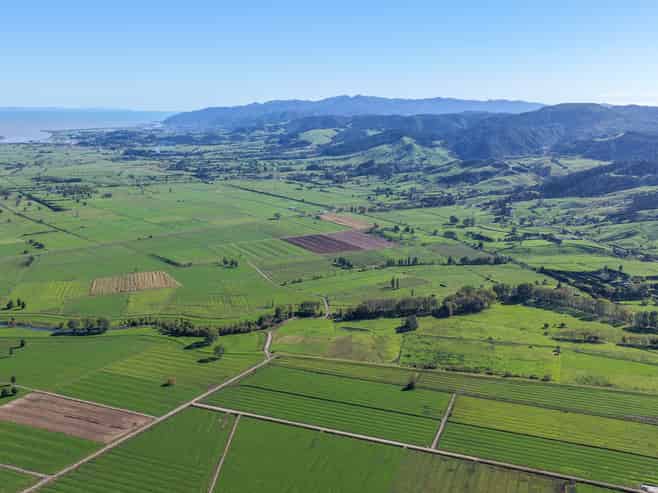 134 and 14 Station Road, Puriri