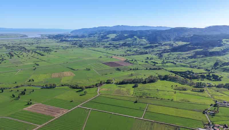 134 and 14 Station Road, Puriri